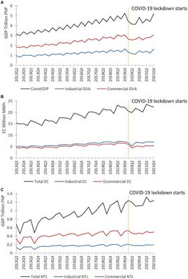 Estimating sectoral COVID-19 economic losses in the Philippines using nighttime light and electricity consumption data
